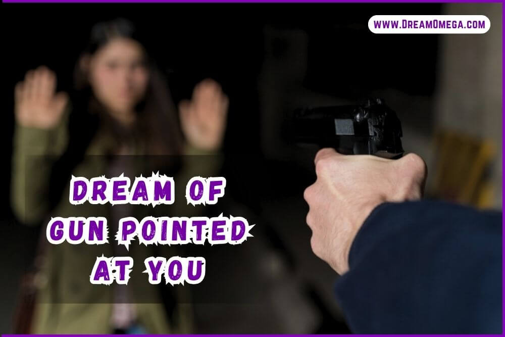 Dream of Gun Pointed at You