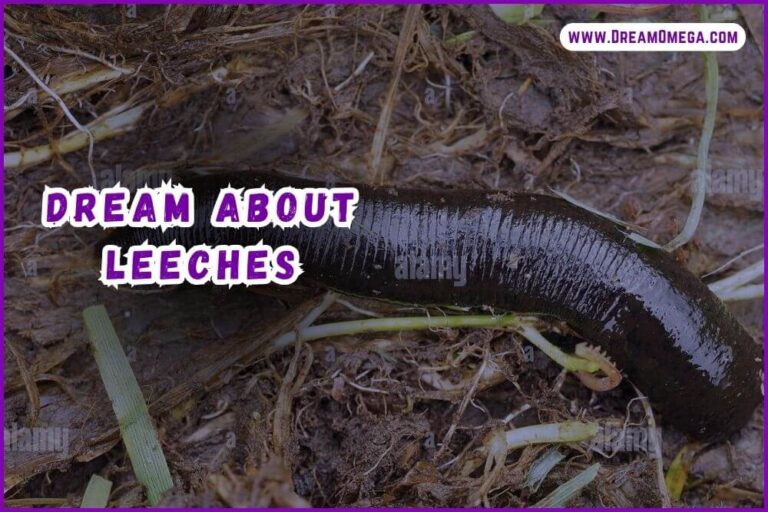 Dream About Leeches: Insights into Your Subconscious