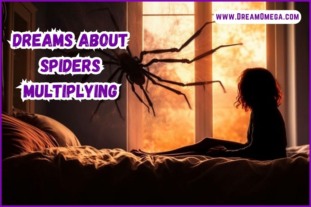 dreams about spiders multiplying