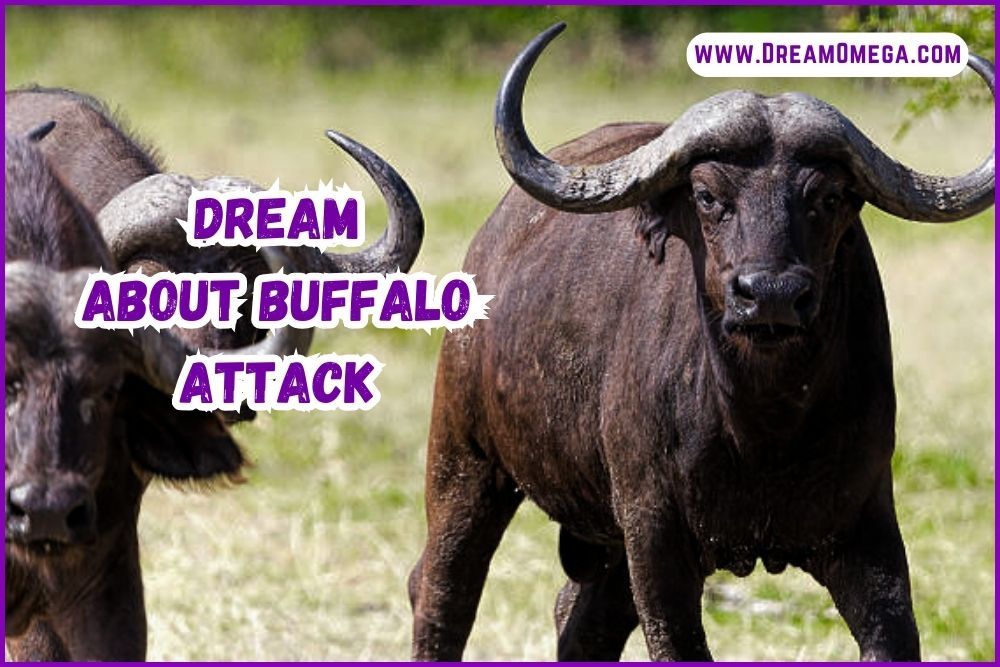 Dream About Buffalo Attack