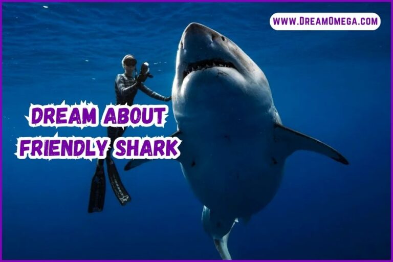 Dream About Friendly Shark (Exploring the Depths)