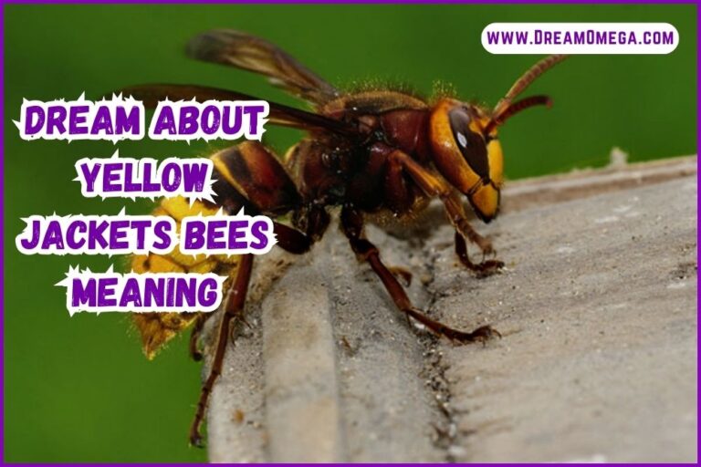 Dream About Yellow Jackets Bees (Meaning and Interpretations)