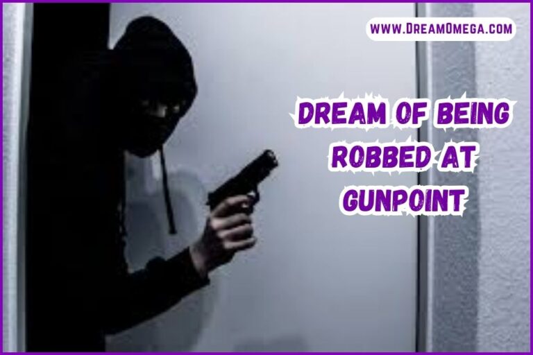 Dream of Being Robbed at Gunpoint (The Mystery)