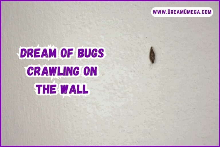 Dream of Bugs Crawling on the Wall (Exploring the Intricacies)