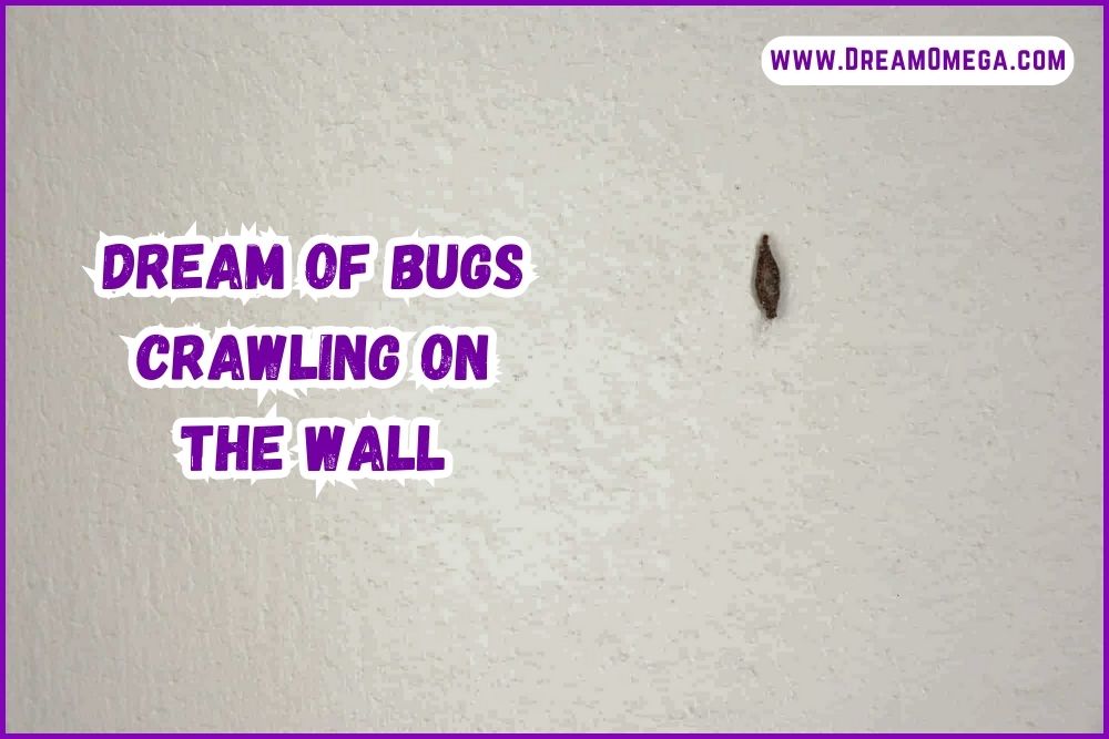 Dream of Bugs Crawling on the Wall