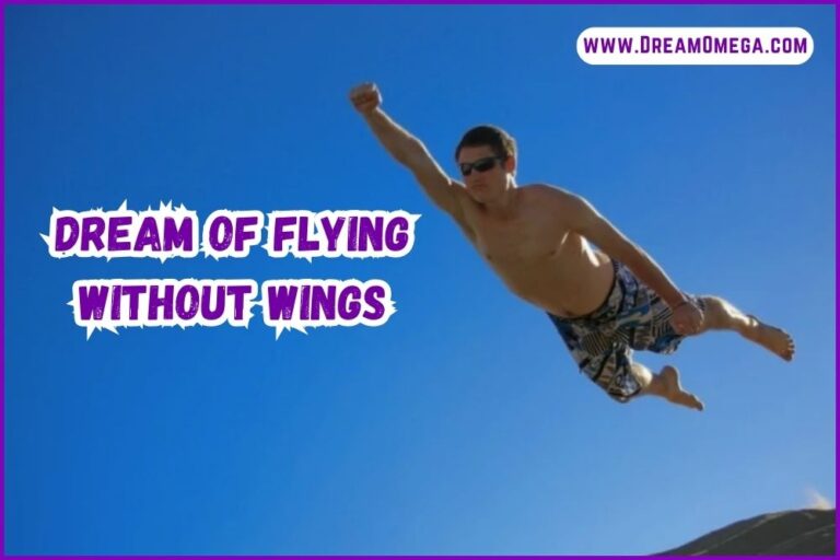 Dream of Flying Without Wings (Soaring Beyond Boundaries)