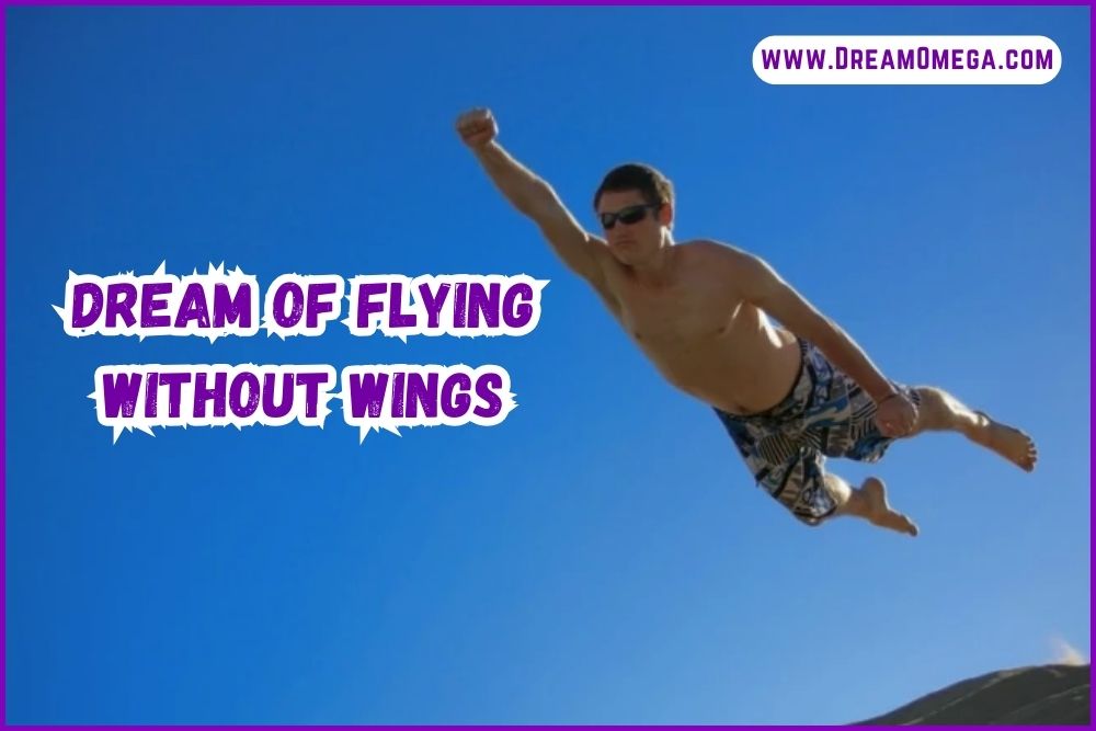 Dream of Flying Without Wings