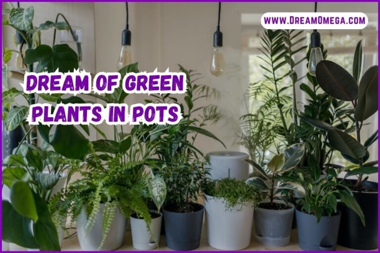 Dream of Green Plants in Pots (Bringing Nature into the Dreamworld)
