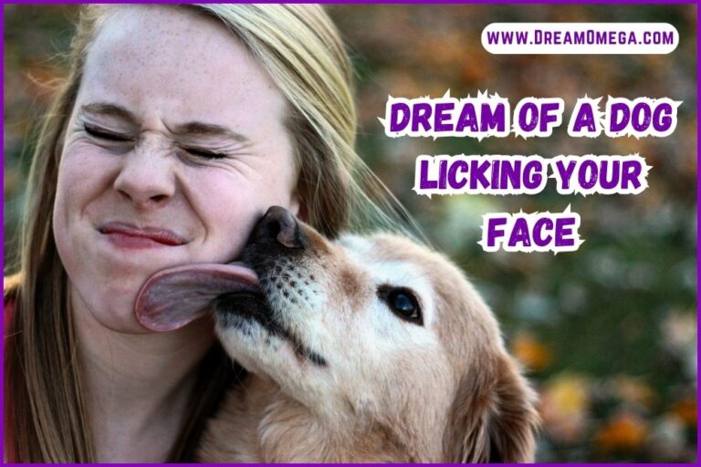 Dream of a Dog Licking Your Face (Explore the  Connection)