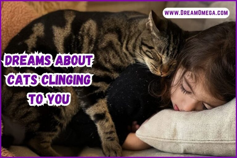 Dreams About Cats Clinging to You (What Do They Mean?)