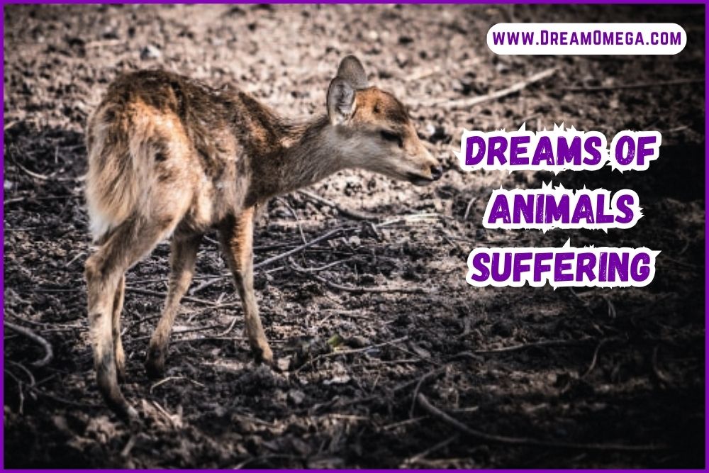 Dreams of Animals Suffering